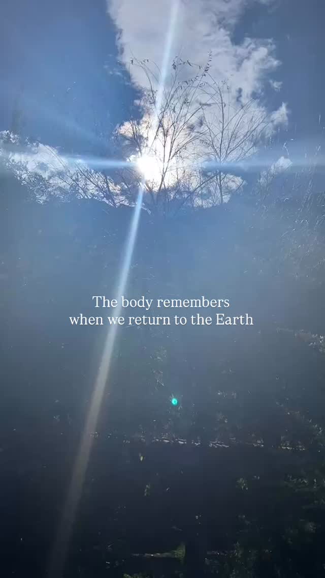 The Earth invites us to slow down.
To feel again.
To reconnect.
To remember who we truly are beneath the conditioning, busyness and survival 🍃
#empoweringyourpurpose #naturehealsthesoul #embodiment #soulremembrance #healingjourneys