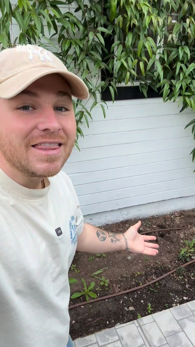 #AD I’ve had a troublesome section of my garden and for years I struggled with what to do. Recently I had a tree removed that turned this part of the garden into a full sun location and everything had to be taken out. A total blank slate! It’s been empty for months and then @waltersgardens asked if I had a section of the garden that needed help, well perfect timing! Their EZ Scape™ program makes gardening EASY. They have so many plans that really any spot in the garden should become beautiful effortlessly. I chose flower power #3 and substituted the LUMINARY® ‘Sunset Coral’ phlox with LUMINARY® ‘backlight’ Phlox! I can’t wait to see how this bed comes to life. Check out ezscape.com today to make gardening easy 🌸