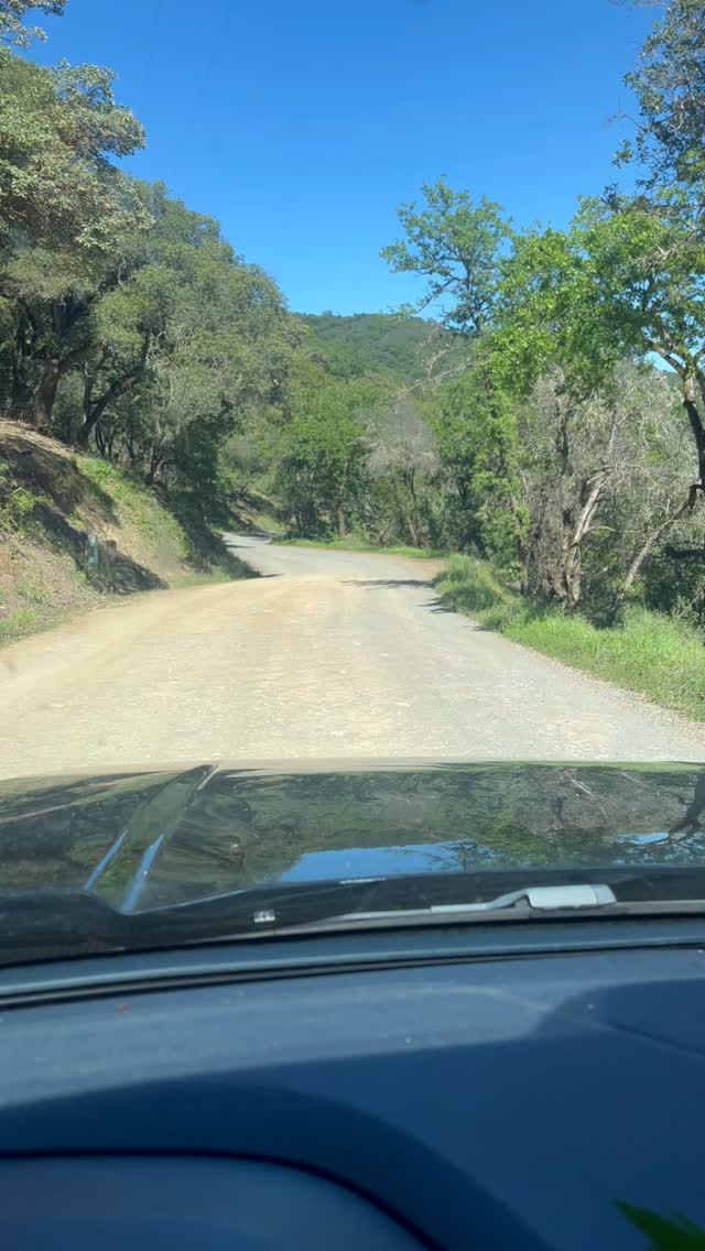 We are just weeks away from the Inaugural Reclamation Music Camp!🏕️ 🪕✨🙌🏽
Words cannot express our excitement at hosting this Black Music Camp in Northern California Pomo Land so we are just going to let the photos do the talking.
@mariposainstitute will be our home in nature for the weekend as we are immersed in music and community learning.
Donations to support our upcoming camp can be made through our website blackbanjoreclamationproject.org