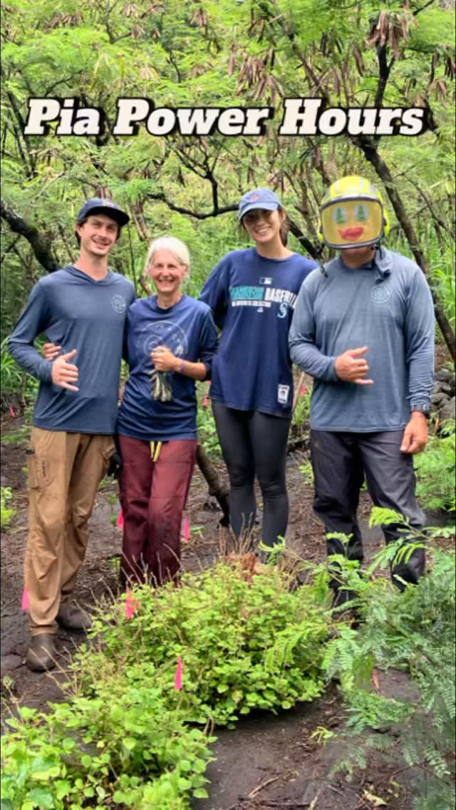 We spent the morning clearing guinea grass from old kīpukas, and then read a haiku;
mosquito breakfast
as we pull weeds together
in pia valley
Great to see the area cleared and the native outplants thriving. Also, we found some ‘alahe‘e keiki in the same area!
Mahalo everyone for your hard work!
#malamaaina #hawaii #nativeforest #restoration #volunteerhawaii