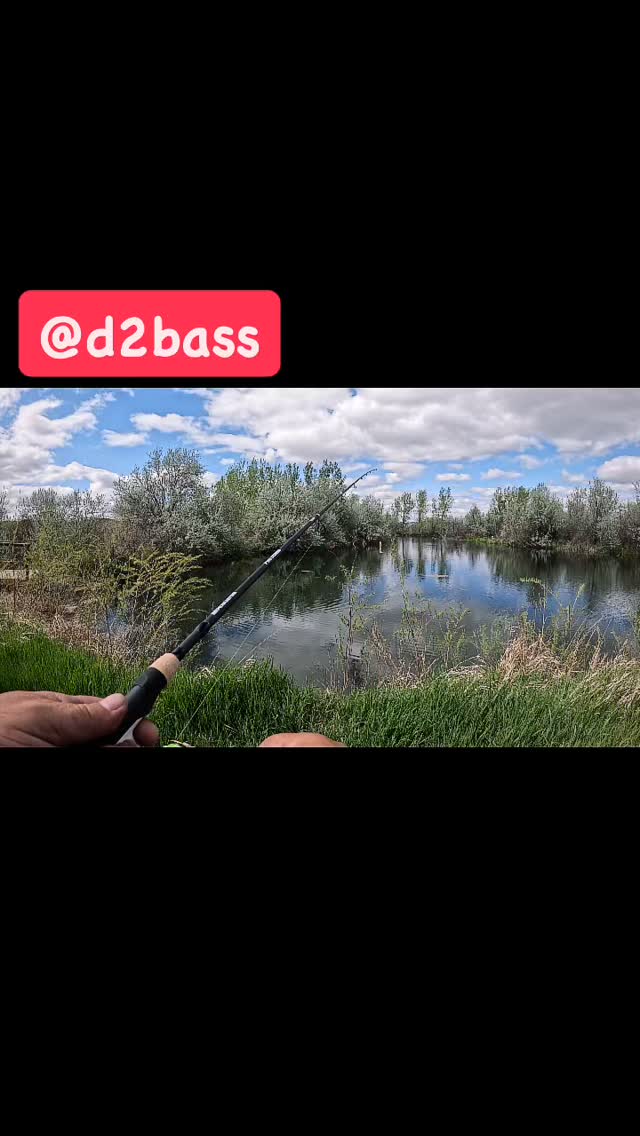 Crappie up shallow! #d2bass #crappiefishing