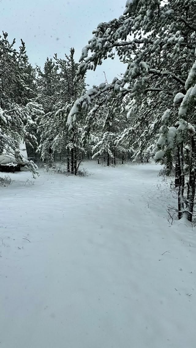 May long weekend in Saskatchewan. You never know what to expect from the weather, but you make what you can out of it.
#intentionalliving #exploresask #princealbertsk