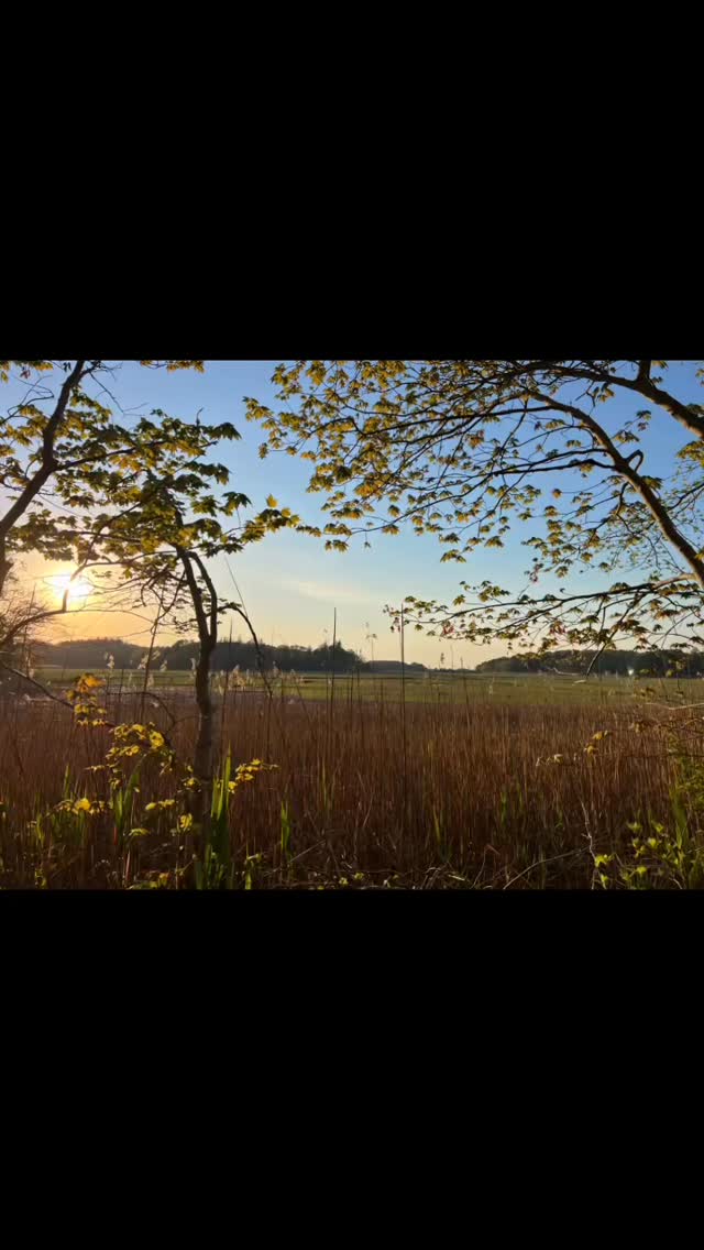 I’ve been spending more time on the trails. Getting my hands in the dirt, uncovering the baby growth underneath the debris… Grounding is essential right now. Connecting with something wiser and bigger than me, is medicine for my soul. For my body. For my heart. #motherearth #grounding #connection #natureheals