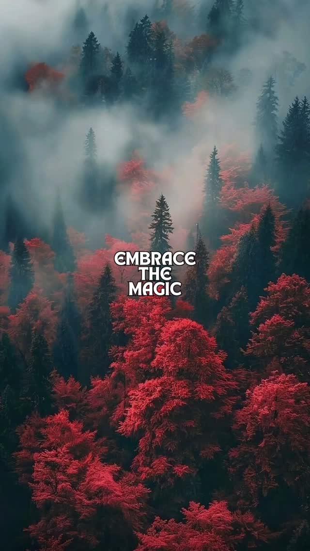 A little dark. A little enchanting. Exactly our vibe ๐ค #staycreepystaywild #moodyvibes #gothicvibes #darkromance #bookishvibes