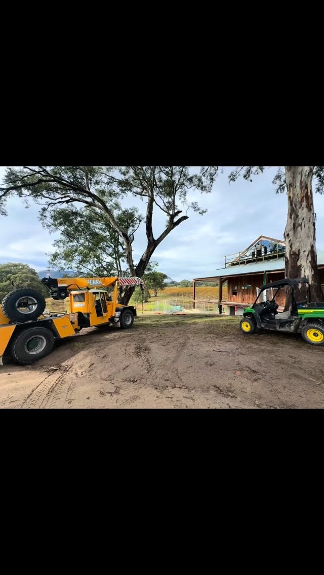 Windows going into the new cellar door #megalongcreekestate #bluemountainswine #bluemountainsaustralia #megalongvalley #cellardoorexperience