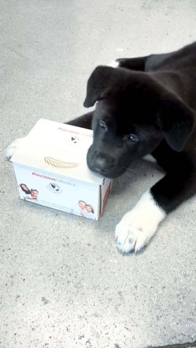 Puppy endorsed. Need we say more? ☺️