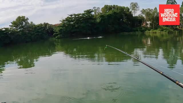 miss you @mohdyadnan9 semoga dipermudahkan urusan #hardworkingangler #peacockbassfishingguidemalaysia #visitmalaysia #pancing #peacockbass