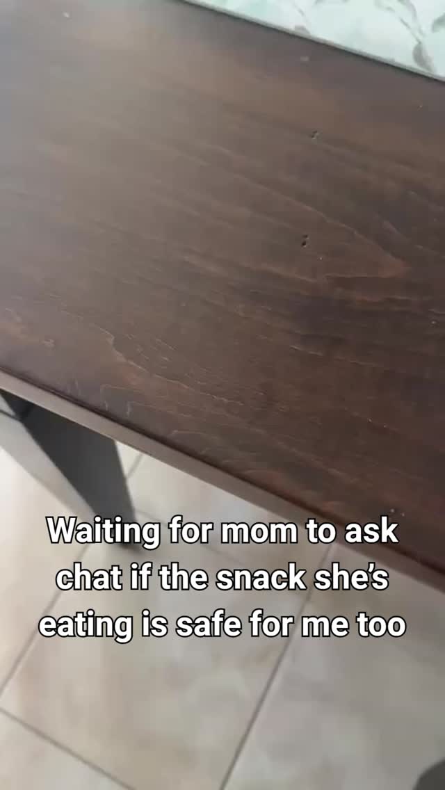 POV: your dog has developed trust issues because you Google every snack before sharing it 😂🐾
Joshua has officially learned that every bite turns into:
“Wait… let me check if dogs can have this first.”
Honestly though… being a dog parent is just 50% love and 50% FBI-level ingredient investigations at this point 😭
And somehow they still stare at us like we’re withholding state secrets every time we eat something.
👇 Be honest… what food does YOUR dog act personally offended they can’t have?
#yorkielife #dogmom #dogsoftiktok #petparents #yorkshireterrier