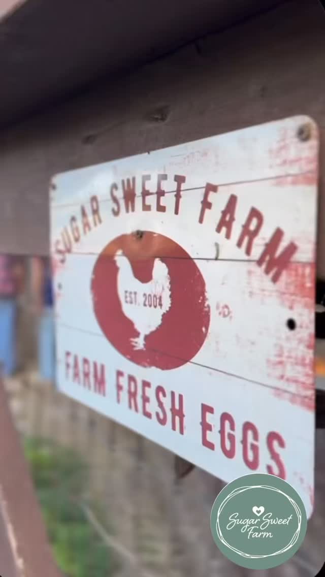 Some childhood memories stay with you forever.
Warm eggs gathered from the nesting boxes.
The sound of chickens clucking softly in the coop.
Learning little things from older kids who already know their way around the farm.
Cruz was teaching Tatum how to tell what color eggs a chicken might lay, and it was such a sweet reminder that Farm Camp is made up of these tiny, meaningful moments — curiosity, connection, confidence, and time spent outdoors together.
At Sugar Sweet Farm in Encinitas, our North County San Diego Farm Camp gives children the chance to spend their summer surrounded by animals, nature, gardens, creativity, and hands-on farm experiences. Campers gather eggs, care for animals, explore the farm, make friends, and enjoy the kind of unplugged outdoor childhood that feels increasingly rare these days.
We still have a few Summer Camp spots available, and we thought it would be fun to give one away.
GIVEAWAY:
We’re gifting one free day of Farm Camp to one lucky child.
To enter:
• Follow our page
• Like this reel
• Tag someone who would love Farm Camp (each tag counts as an entry)
• Share to your stories for an extra entry
We’ll choose a winner on June 1, 2026.
www.sugarsweetfarm.com
#SugarSweetFarm #FarmCamp #Encinitas #NorthCountySanDiego #SanDiegoSummerCamp
