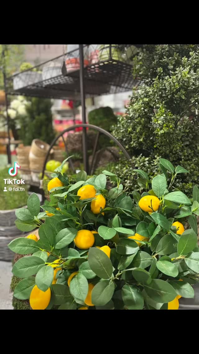 Color is officially in season 🎨💐
.
.
.
.
.
#flowers #direct #fyp #summer #colors