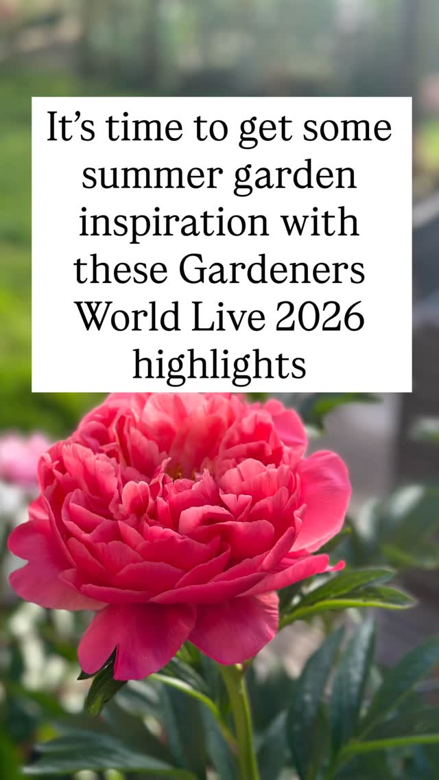 BBC Gardeners’ World Live 2026 is returning to the Birmingham NEC from 18–21 June, and this year is shaping up to be an unmissable day. Whether you’re wanting creative inspiration for a small garden, or wanting to find new ideas for outdoor eating this will be the highlight of your summer.
This is what I am personally most excited to see this year:
🕰️ The Garden of Evolution
Co-created by anthropologist Professor Alice Roberts and legendary garden designer Professor David Stevens, this headline show garden is an immersive, walk-through journey across 500 million years of history.
📐 Make a Metre Matter & Beautiful Borders
Proof that you don’t need a massive garden to enjoy being outdoors! Beautiful Borders are packed with small-garden inspo. Plus, the Make a Metre Matter is back, with bite-sized ideas to help you transform a tiny area into a haven for wildlife.
🔥 The Smoke & Fire Festival
New for 2026, and dedicated to all things cooking and outdoor entertaining. With live demonstrations, street food, and ideas for outdoor living.
🌸 All the Show Favorites
Not forgetting the Show Gardens, the Floral Marquee and live talks from gardening stars like Monty Don, Adam Frost, and Jonny Hincks.
Bonus: Your ticket also gives you free access to the Good Food Show Summer right next door!
🎟️ Book Your Tickets & Save 15%
Head over to the booking page and use my discount code in the reel above 👆🏻 to get 15% off standard adult or over-65s entry tickets.
Let me know in the comments what you’re most looking forward to seeing! 👇
Not affiliated with Instagram/Facebook/Meta. Photos © BBC Gardeners’ World events
#BBCGWLive #BBCGW #GardenInspiration #SmallGardenIdeas #gardenersofinstagram