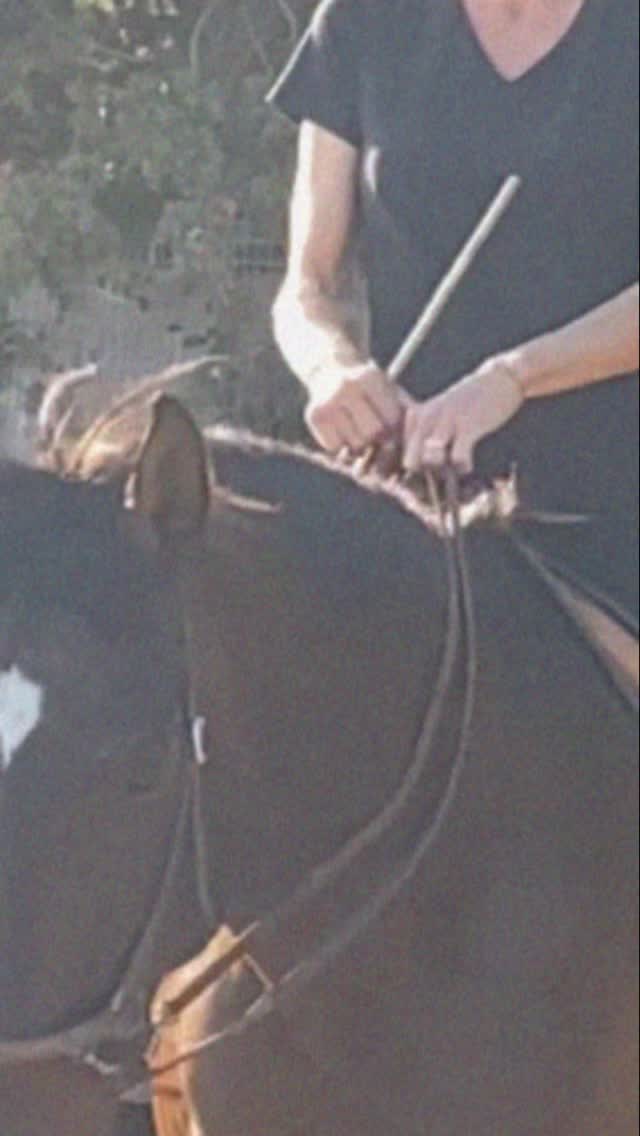 La ayuda más difícil de la mano del jinete es la de ceder, porque no puedo reforzarla. Una cita de Bent Branderup. Ahora mismo me encuentro en una fase en la que intento seguir perfeccionando esta importante tarea de mi mano de jinete; y, precisamente, esa es la mano que percibe y que siente. A continuación, unas sencillas descripciones de cómo intento poner orden en el «lío de riendas».
Trying to bring a bit of structure into the rein chaos. 😅
#reins #riendas #neckrein #ayudas #caballos
