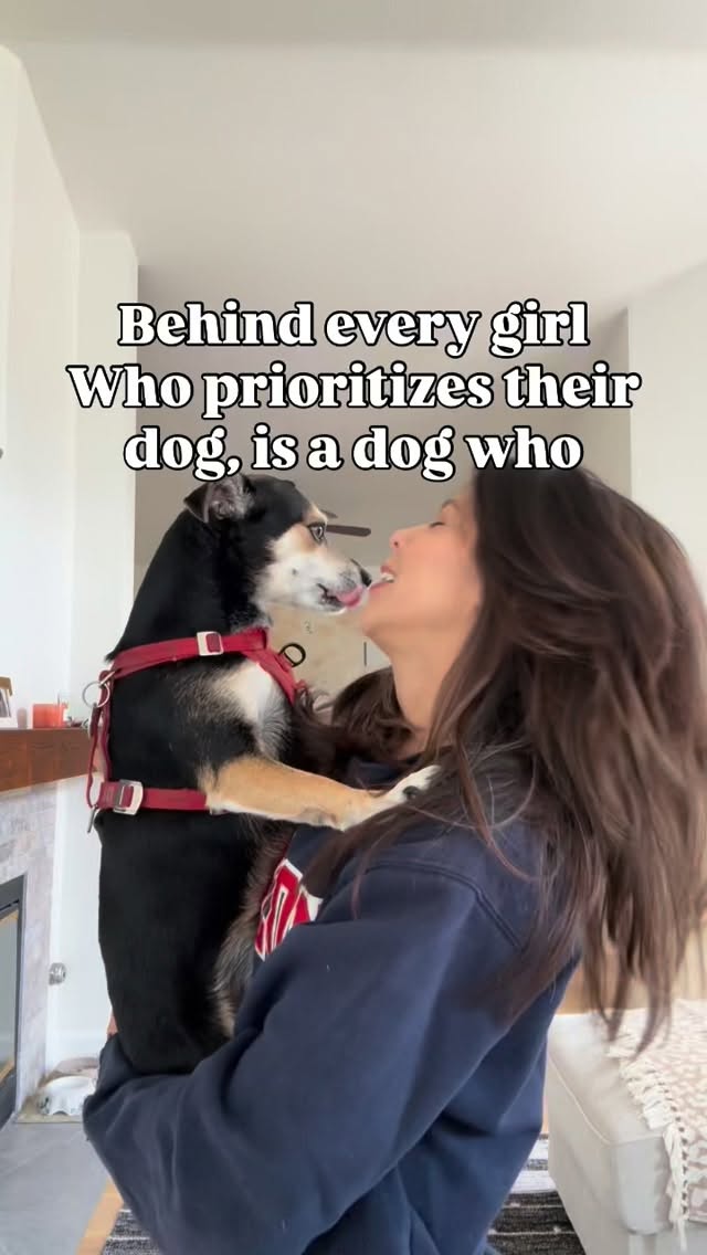 It’s crazy how they come into our lives and unexpectedly change them forever
#dogs #traderjoesfinds #souldog #soulmate #mypurpose