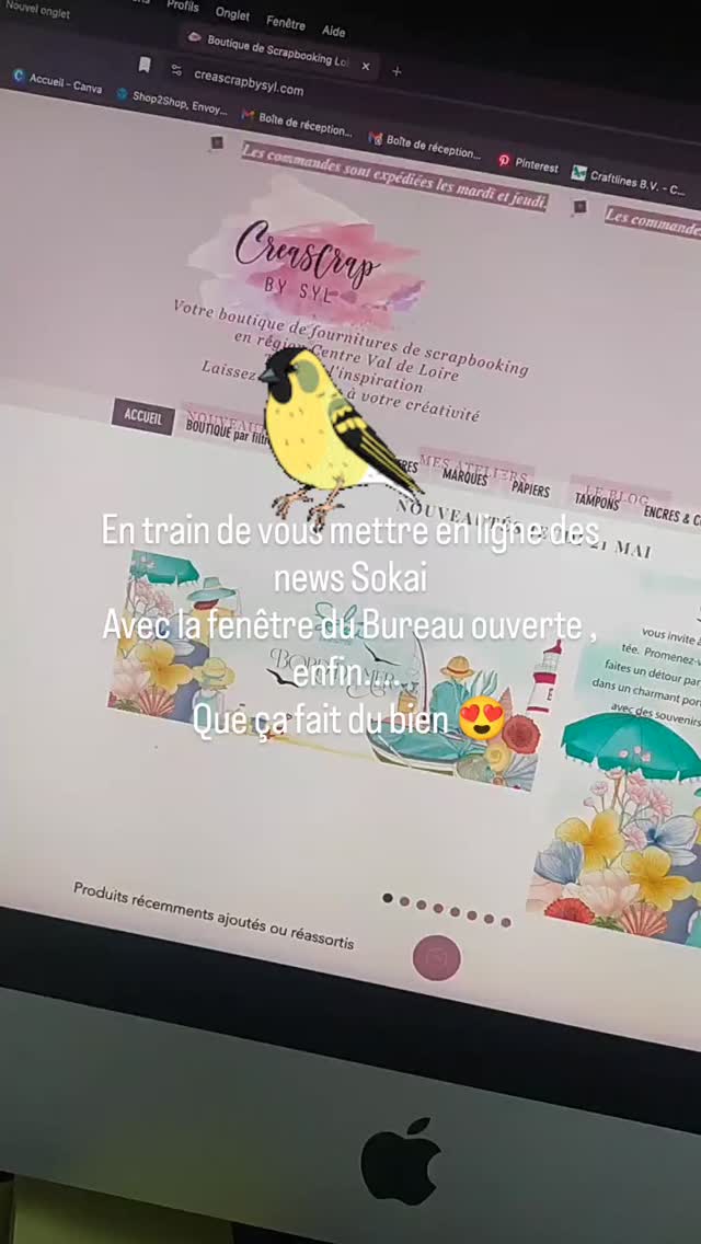 Bientôt en ligne des news Sokai !!!!
#creascrapbysyl
#scrap #stamps #nouveautesscrap #dıy