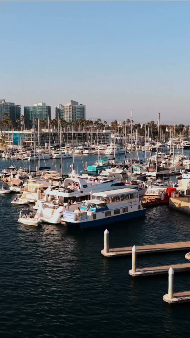 Still can not get over this epic evening🛥️ … thank u @foxyai_ 🦊❤️🔥 @bythehillz 🔥🎥🔥 @kera_cell 🧬
🍒producers @haleyvideckis @tarynnslater
@nikkipaigenarage @mf_recordz
* yacht and live performance @nikkipaigenarage @thestudiyacht
* tiki mermaid charters @tikimermaidcharters
* entry cars, luxury rentals and security @platinum.exotics
* front of yacht flowers @buketflowers.shop
* gifting @kera_cell
* floral decor @armdecor_
* uplighting, draping, furniture linens @barkerdecor
* bites and floral decor @brunchhouseoc
* vodka @101vodka_
* mission cocktails @missioncocktails
* tequila @delatorretequila
* 360 photobooth @pozbee360
* iv / b12 shot @temeculadrjs
* food catering @etagevenue
* pizza @pizzahouseusa
* persian food @dvine
* beautiful food tray @foorisartofbaking
* roaming cannoli @delicious_minis
* bartender @stoneface.bevco
* dj @djahmedblack
* cake pops @theunconfectional
* water + vitamin water @smartwater
* florals on red carpet @flower_sebas
* car florals @anflowersla
* red carpet and rose wall @partyondemandapp
* mini floral bouquets @jadorelesfleurs
* foxy chocolates @chahras_special_moments
* foxy pringle chips @picniccheck
* custom desserts @narine_jelly
* welcome sign and shelf backdrop @creations_byc7
* sparklers @angels_spark.la
* disco entertainment
@amaxentertainment
* red teddy bears @thecareclubco
* balloon decor @happy_balloons_la
* acrylic foxy sign @creationsbyjunes