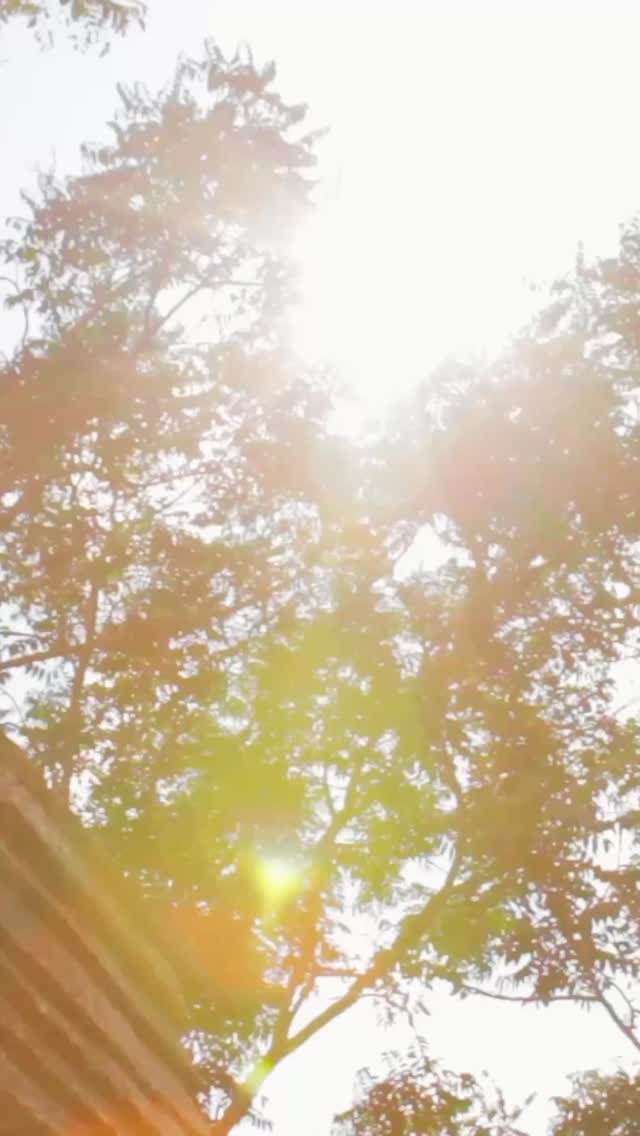There is a rhythm to this work that cannot be rushed.
It moves slowly… through land, through hands, through shared moments of attention.
From earth to table, from quiet observation to creation, from learning to simply being together — these are the spaces that continue to shape Suddha Prem.
Nothing here is separate from life. It is life, experienced more closely.
🌿 Small gatherings.
🌿 Gentle learning.
🌿 Time with nature.
🌿 Time with each other.
A return to presence.
#SuddhaPrem #MindfulLiving #ConsciousLiving #SlowLiving #ExperientialLearning