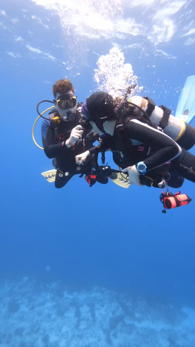 🤿 Why Choose Small Groups for Diving?
Because bigger ISN'T always better.
At Aldora:
✅ You're not just a number
✅ Personal attention from expert guides
✅ Your pace, your adventure
✅ Safe, comfortable experience
✅ Unforgettable marine life encounters
✅ Pristine reefs
✅ 30 years of expertise
Max 6 divers boats.
Ready to experience the difference?
📲 DM or WhatsApp for availability
🌊 Link in bio to book directly
#AldoraDiving #SmallGroupDiving #cozumel
#CozumelDiving #ScubaDiving
