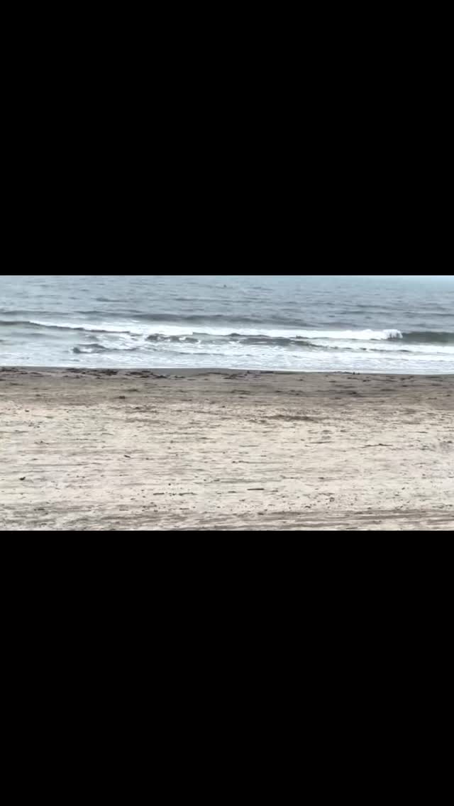 A calm day along the Galveston shore.
Soft waves, sea air, and a slower pace. Sometimes the most beautiful moments are the quiet ones. The coast always has a way of bringing a little peace and perspective.
#galveston #galvestonbeach #texascoast #beachday #oceanview #calmvibes #seaside #coastalliving #beachwaves #relaxingviews #gulfofmexico #summercoast #beachescape #slowliving #oceanbreeze