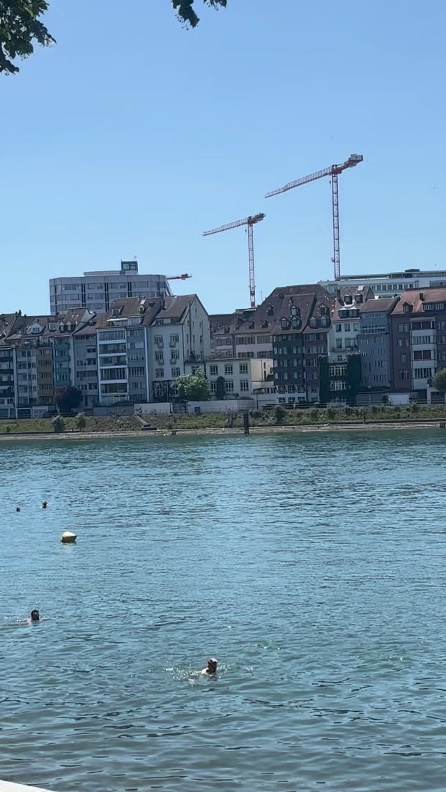 Durante nove anos, enquanto estudava no Gymnasium de Basileia (dos 11 aos 20 anos), e também durante seu primeiro ano na universidade, Carl Jung caminhava cerca de 4 km por dia entre sua casa em Kleinhüningen e a Münsterplatz, indo e voltando.
Até hoje, caminhar de Kleinhüningen até a Münsterplatz pelas margens do Rio Reno continua sendo um dos passeios mais agradáveis de Basileia.
A caminhada leva cerca de 50 minutos, seguindo pela Unterer Rheinweg, onde se pode desfrutar da brisa do rio, das fachadas históricas e do ritmo tranquilo do limpo rio Reno.
#CarlJung #Basel #CGJung #PsicologiaAnalitica #RioReno #suiça #monicamartinezpsi