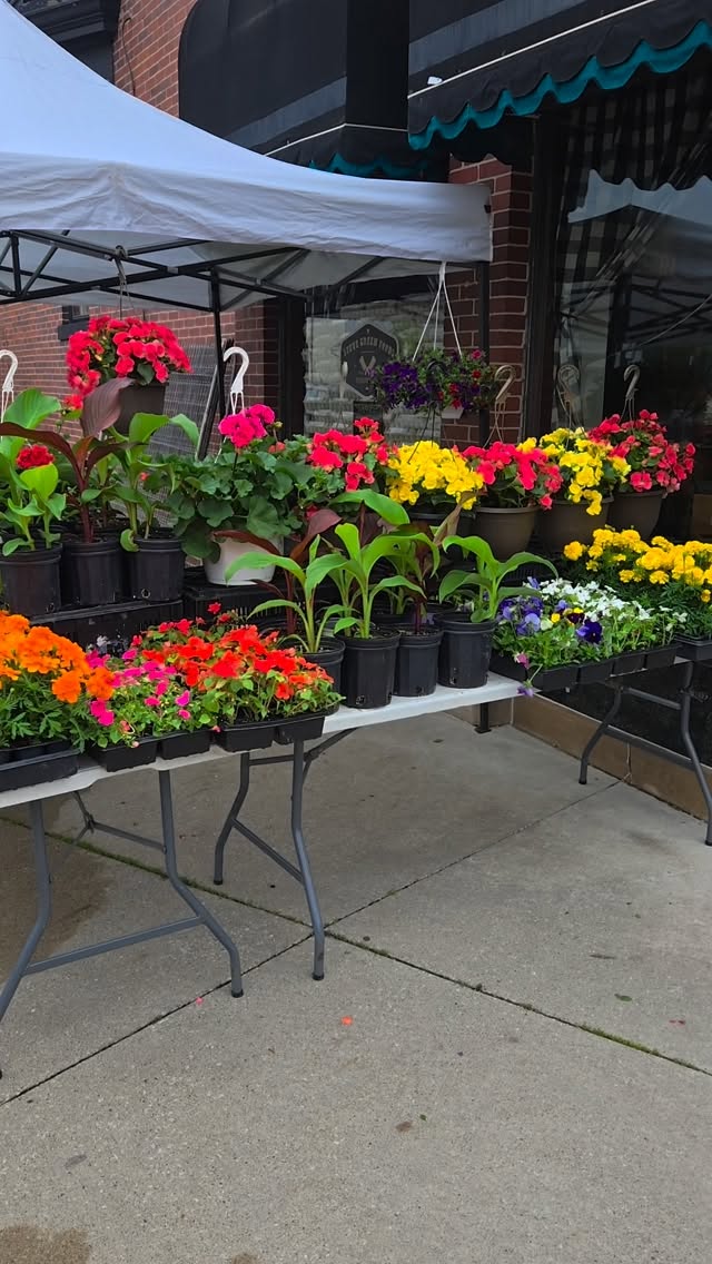 Garden Centre & Shop open today 10am-4pm
.
Make your Sunday Better @stevegreenfoods
.
.
#visitwalkerville
#yqg #windsor #windsoressexcounty