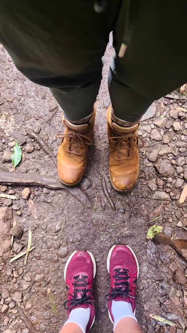 Had some proper “Returning” to my wild nature yesterday on the Hanakapiai Trail. 8 invigorating and captivating miles of muddy rugged trail! Soul food! The falls is one of the biggest I’d ever hiked to. Standing next to it felt like being in a storm. It created whipping winds, drenching spray of stinging water and waves in the pool below, which YES Kali and I bravely initiated ourselves in! Words really can’t describe the power and awe it evoked. Floating on our backs we stared up at the descending falls. Such a unique perspective only granted by our plunge.
I’m full of gratitude to have had this adventure! It’s like a recalibration of my being ✨✨ Big thanks to Kali for being my companion 🫶 kindred folk are essential!
I released this song a few years ago now and it’s still one of my favorites! I feel like it’s a poetic glimpse into my long, heart and lense of the world. There’s this place I get to sometimes. A state of being where I feel in harmony and oneness with the wild nature of the world. There is no questiong my belong here, in this strange, beautiful and heart breaking world. Just a human- being, think Eden.
“Returning” check out the original Reel I put together for it, it features a past adventure to Kaulalu, another jewel of this blessed place.
Xoxo,
Lalo
#hiking #waterfall #femaleartist #originalmusic #liveyourbestlife❤️