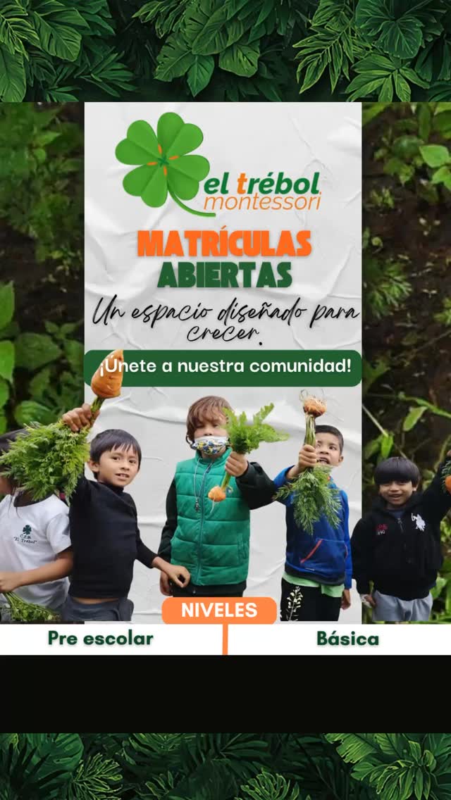 Matrículas Abiertas! 🌱
Creemos en una educación donde cada niño y niña es protagonista de su propio aprendizaje. Nuestro ambiente preparado no solo fomenta la autonomía y la concentración, sino que respeta el ritmo natural de cada pequeño, cultivando un amor genuino por descubrir el mundo que los rodea.
Asegura el lugar de tu pequeño en un entorno donde su desarrollo integral es nuestra prioridad.
⏳ ¡Los cupos para el nuevo ciclo son limitados! 📩 Escríbenos por DM o haz clic en el enlace de nuestra bio para iniciar el proceso de admisión y ser parte de nuestra comunidad.
Hashtags sugeridos: #Montessori #EducacionAlternativa #MatriculasAbiertas #AmbientePreparado #CrianzaRespetuosa ElTrebolMontessori ComunidadEducativa
"U“ espacio diseñado para crecer. Únete a nuestra comunidad”.