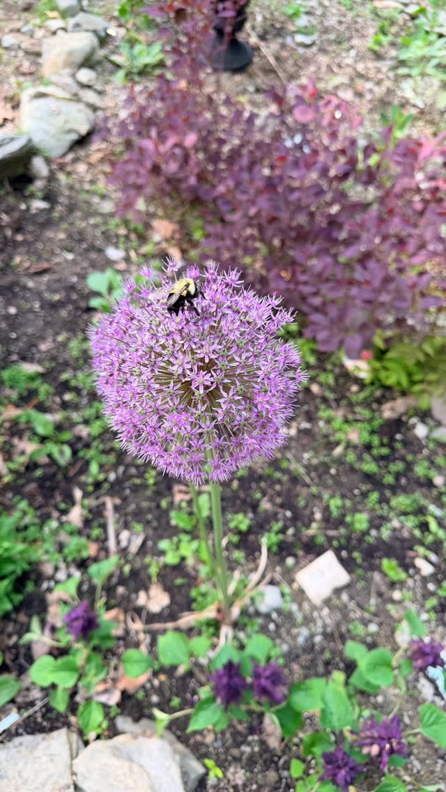 Home at last! If you’re looking for me I’m out digging in the garden…