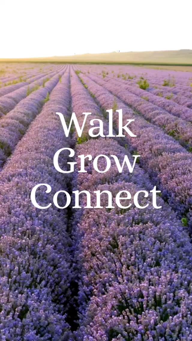 I am so excited for the next Walk, Grow & Connect and it’s going to be a really special one. The last hurrah before I head off to Bali for the summer! 🌿✨
The date has now changed due to the recent bad weather affecting the bloom. The date is Saturday 27th June - Hope you can make it!
Years ago, visiting a lavender field was one of those memories that just stayed with me forever. The smell, the colour, the energy of that beautiful plant… lavender is something truly special... used for centuries in remedies and known for its powerful, calming properties. I just knew I had to experience it again, and doing it with a group of awesome women felt like the perfect way.
Saturday 13th June 💜
We’ll meet at London Victoria station at 8.15am, jump on the 8.30am Southern train to Sutton, then hop on the S1 bus to Banstead — arriving in time for a 9.30am brunch. We’ll be back in London by 1.30pm.
Here’s what’s in store:
🌸 Brunch at Chai Cafe in Banstead - choose from a set menu with your choice of coffee @cafe.chai
💜 A mindful walk through the stunning lavender fields at Mayfield Lavender Farm, connecting with an incredible bunch of women.
📓 A little journaling in the sunshine
Getting out of London, discovering somewhere beautiful and seeing the lavender in full bloom… I cannot wait. (Sunshine, please co-operate! ☀️🙏)
Spaces are LIMITED - drop LAVENDER in the comments or send me a message and I’ll send you all the details or simply head to link in my bio to book a ticket.
Come walk, grow & connect. 💜