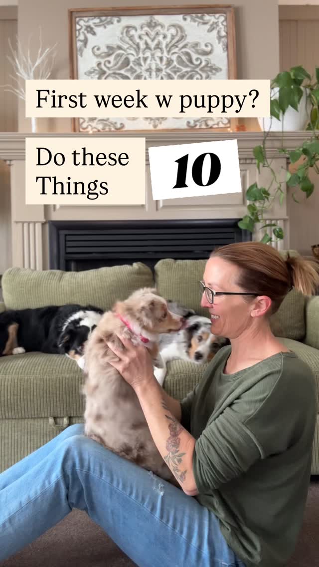 FIRST WEEK WITH YOUR PUPPY? DO THESE 10 THINGS.
Everyone wants to know what command to teach first.
Meanwhile, your puppy is over there making life decisions based on approximately 17 seconds of experience. 😅
Focus less on tricks and more on building habits:
1️⃣ Create a VIP Potty Zone
Small area = less exploring, more pottying.
2️⃣ Put the Crate by Your Bed
Security for your puppy. More sleep for you.
3️⃣ Use a Playpen
Freedom is earned, not granted on Day 1.
4️⃣ Have Structured Mealtimes
Meals create routine and training opportunities.
5️⃣ Pay Calmness
Reward settling, relaxing, and making good choices.
6️⃣ Choose Friends Wisely
Good role models help create good habits.
7️⃣ Teach What YOU Value
I value things like:
• No jumping
• Waiting politely
• Settling in the house
Train the dog you want to live with.
8️⃣ Consistency Beats Perfection
Your puppy doesn’t need a perfect trainer. Just a predictable one.
9️⃣ Start Socialization Early
Socialization does NOT mean dog parks and playing with every dog you see.
It means positive experiences with:
• People
• Sounds
• Surfaces
• Places
• Everyday life
🔟 Schedule Naps
Overtired puppies make questionable life choices.
More biting. More zoomies. More nonsense.
The goal of Week One isn’t a perfectly trained puppy.
It’s creating clarity, confidence, and good habits from the start.
📌 Save this for puppy pickup day. Your future self will thank you 😉.
.
#miniaustralianshepherd #miniamericanshepherd #miniaussiepuppy #miniamericanpuppy #newpuppytips
