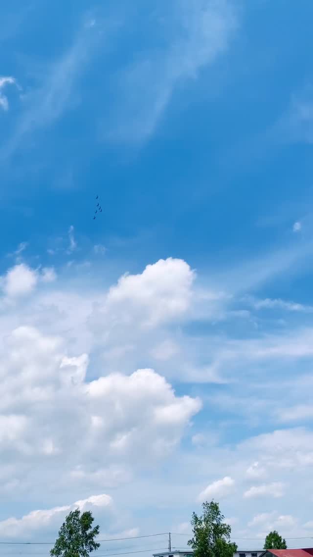 ブルーインパル
