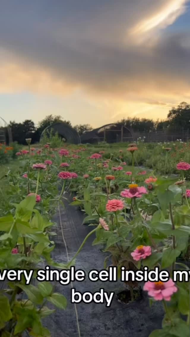 Be happy and well, friends ❤️🙏