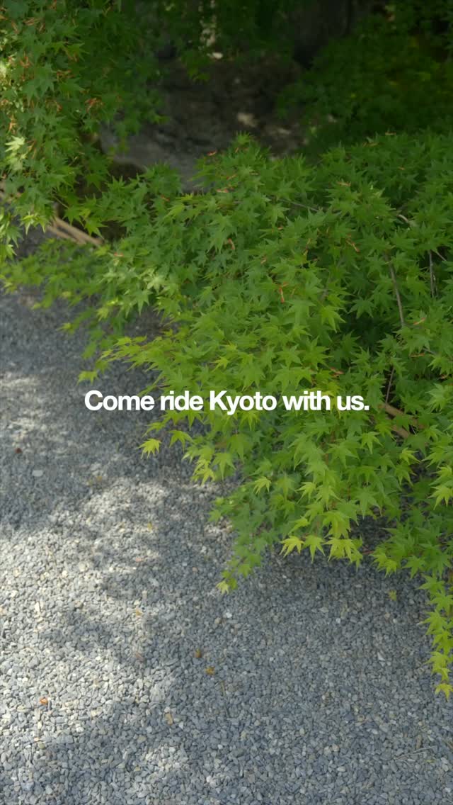 Seeing Kyoto by bicycle changes everything.
Quiet backstreets, peaceful riverside paths, and parts of the city most visitors never reach.
Avoid packed buses and experience Kyoto at a different pace.
Small groups. Local guides. Premium bikes.
Planning a Kyoto trip? Save this for later. 🚲
#KyotoJapan #KyotoTravel
#JapanTravel #Arashiyama #kyotobiketour