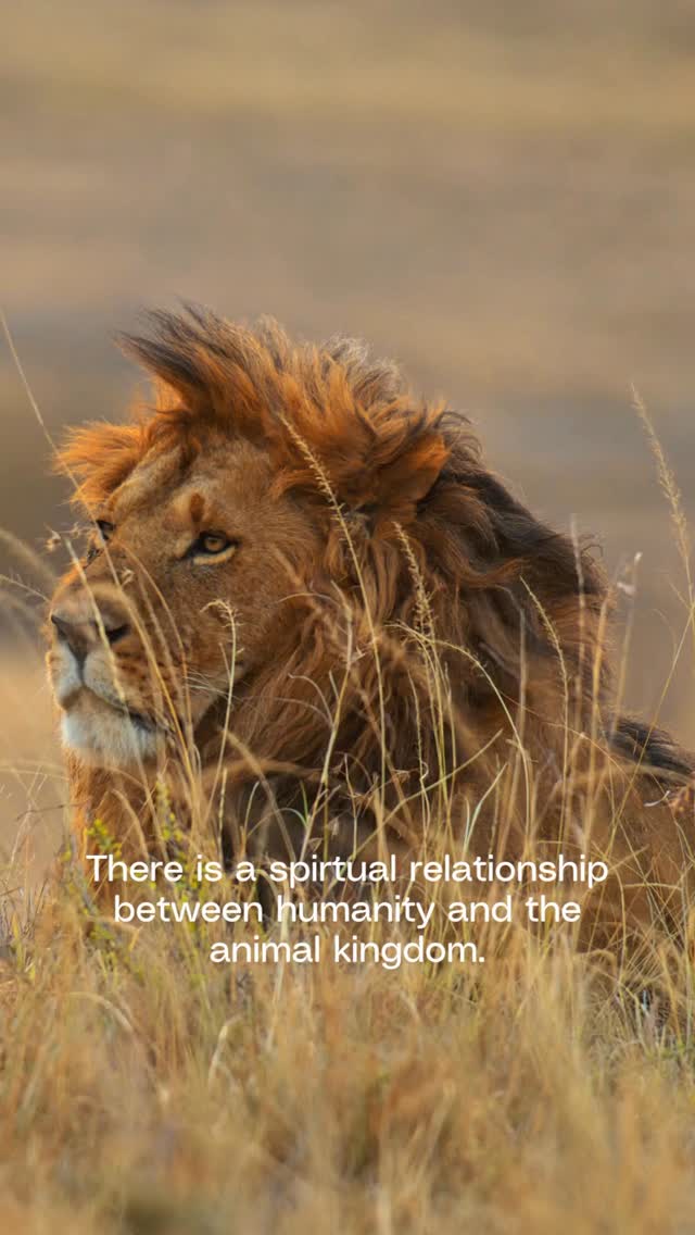 A sacred connection.