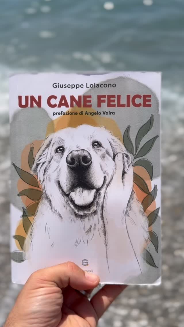 🏖️ Questa estate sotto l’ombrellone non metterci il cane ma “UN CANE FELICE” 🐾
🚀 Per acquistarlo link in bio o in libreria!
#libri #libridaleggere #libroinspiaggia #sottolombrellone #cinofilia