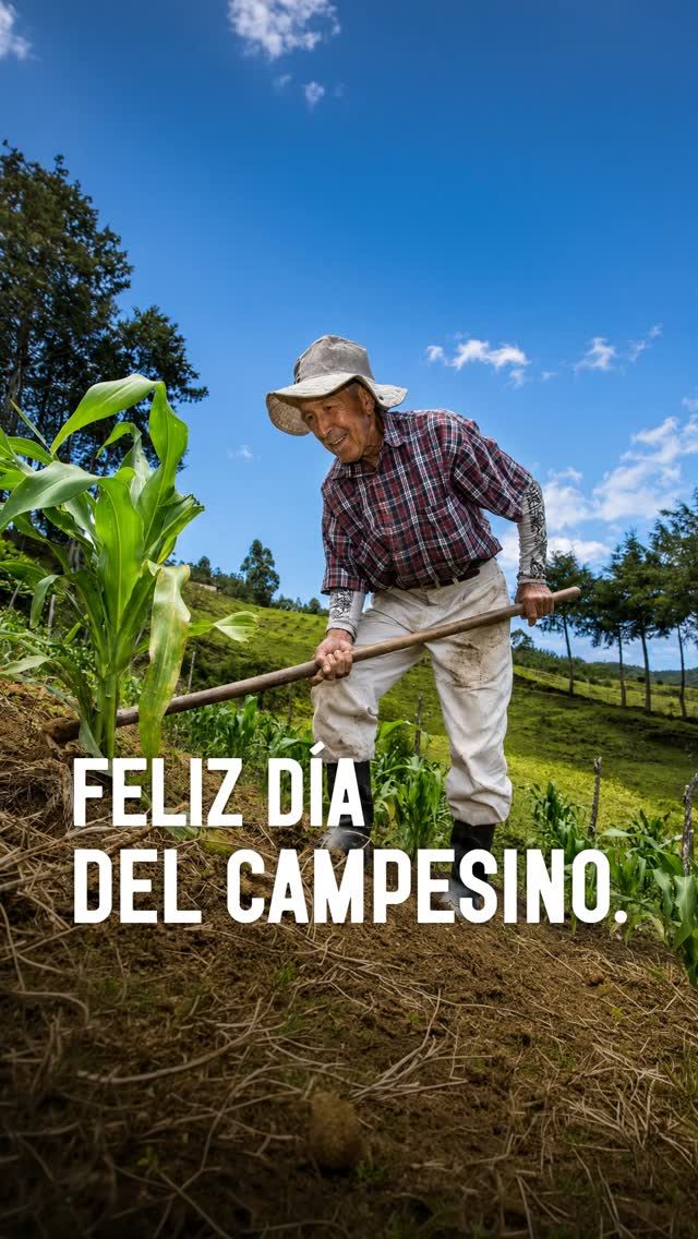 🌾❤️ Antes de cada bandeja paisa, de cada arepa y de cada plato servido en la mesa, hay un campesino que madrugó por todos nosotros.
En Asados Doña Rosa celebramos a quienes trabajan la tierra con amor, esfuerzo y orgullo colombiano. 🇨🇴🥘
🙏 Dejá en los comentarios un mensaje de agradecimiento pa’ nuestros campesinos y compartí este video.