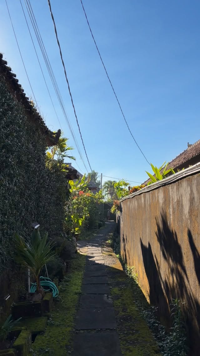 Yoga therapy meets you where you are, not where you think you should be.
Move with care.
Breathe with ease.
Heal at your own pace.
Book your session to begin.
#yoga #ubudyoga #ubud #yogaforeveryage #bali