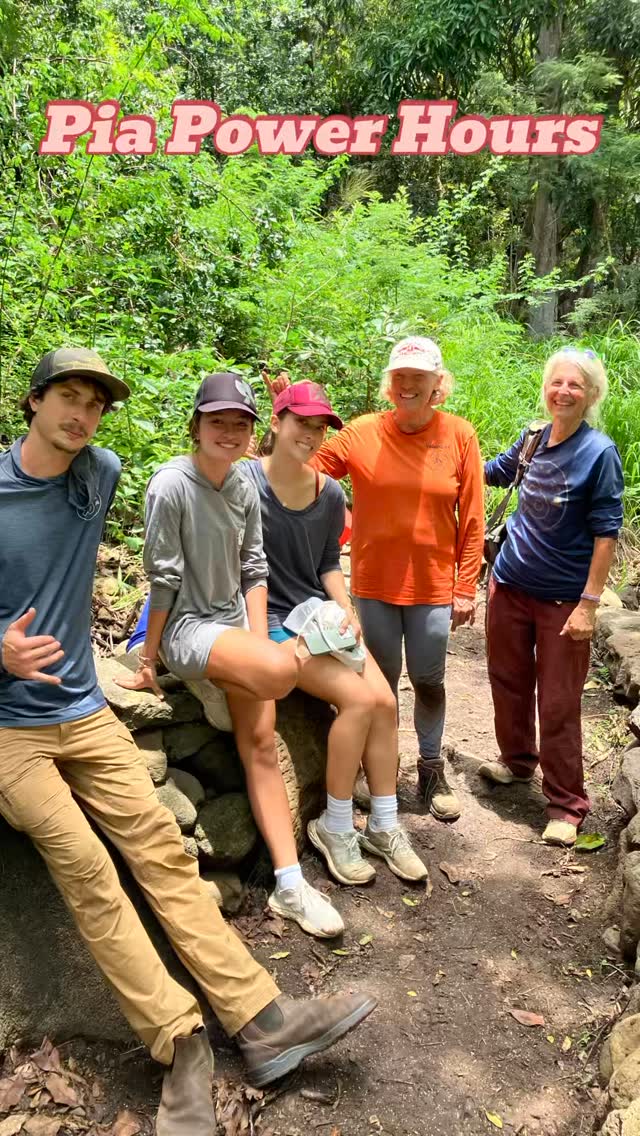 Today we weeded around our first restoration site on the left side of the hill just after the gate.
We were happy to see lots of pili grass spreading from our outplants and many ‘a‘ali‘i keiki as well!
We also had two high school students, Lana and Momo, join us!
Despite the heat, mahalo everyone for your hard work and care for this place! 😌
If any of you have a Monday off, come join us next week!
#malamaaina #hawaii #nativeforest #restoration volunteerhawaii