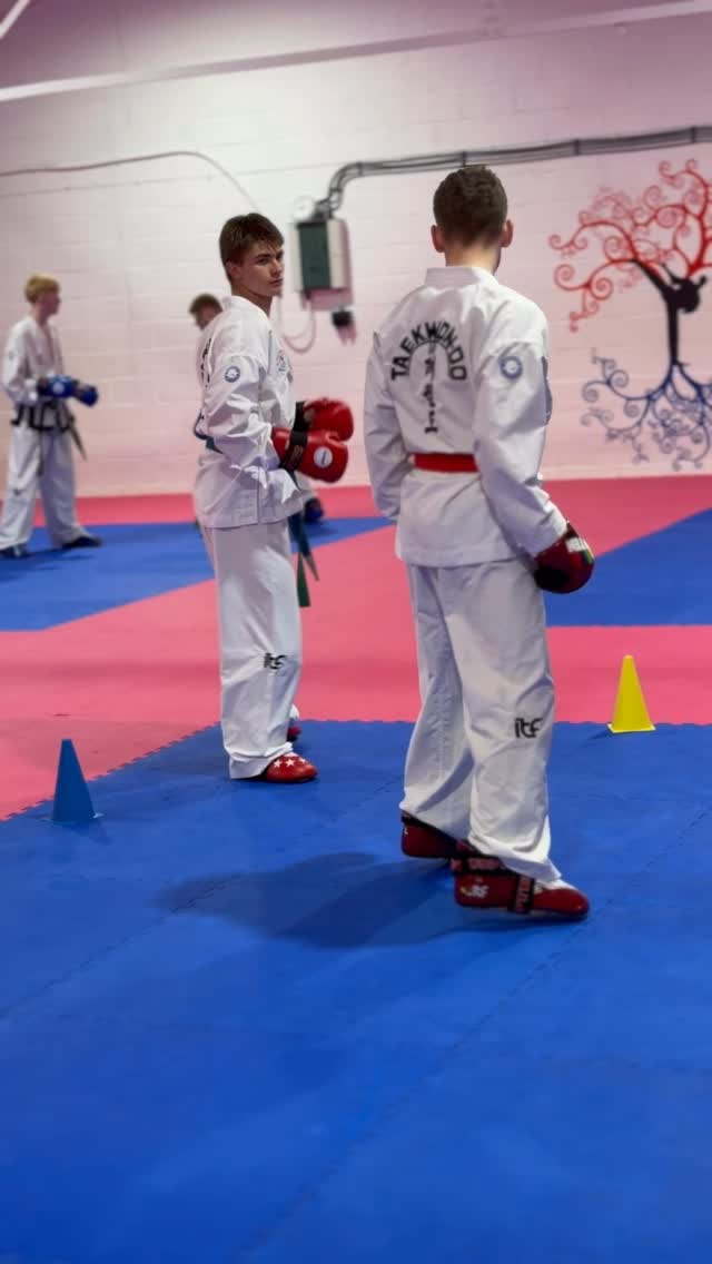 Three sessions a week. Professional coaching. A syllabus that actually takes you somewhere.
That’s ITF Taekwon-Do at WMA.
First month is £20 with a free uniform. There’s no better time to start.
📅 Tuesdays & Thursdays – 7pm | Sundays – 6pm
👉 worcestershiremartialarts.co.uk/trials
#worcester #droitwich #malvern