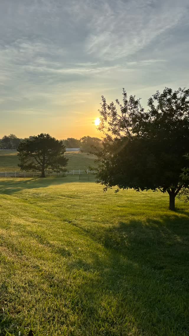 Everything was made by Him. John 1:3
He created beauty. I look for it on my morning walks. I ran across a verse the other day that made me pause…He has provided everything for our enjoyment. And this... whatsoever things are lovely, think on these things.