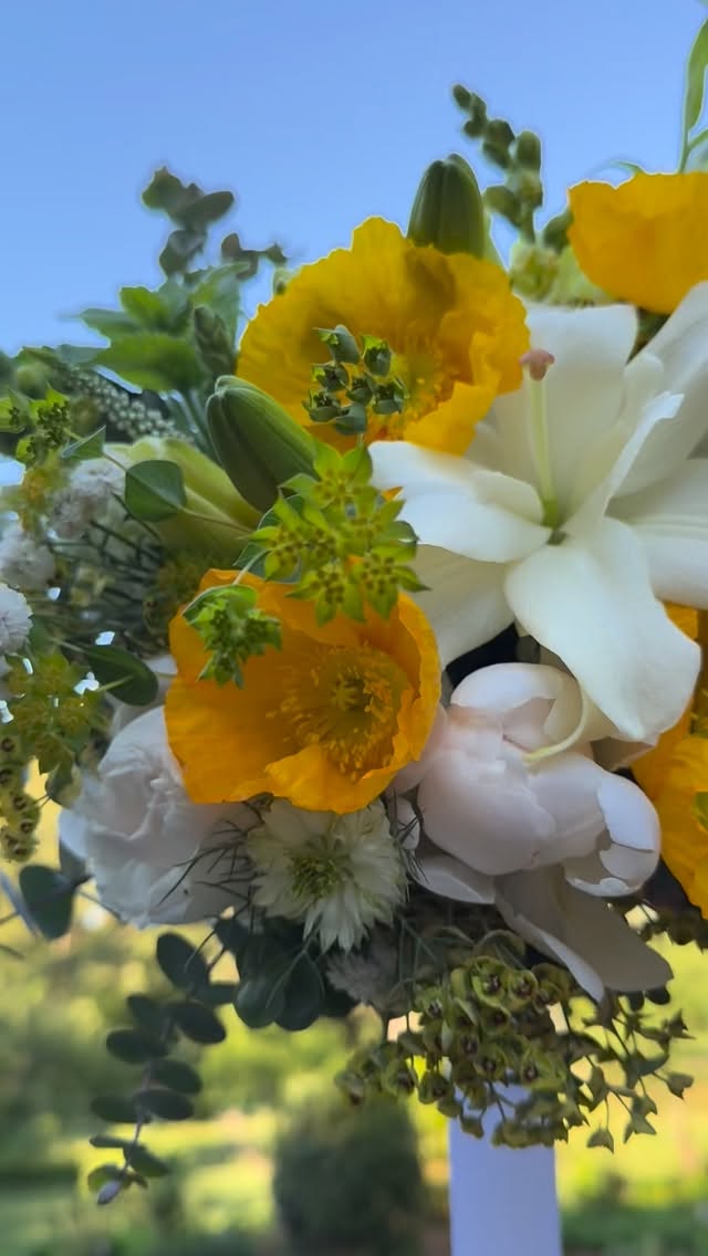 This palette!!! I’m in love 🥰 This beautiful à la carte bouquet was the perfect mix of the romantic style and a specific color request, the lovely pop of yellow 💛 Have an upcoming wedding 💒 in 2026? Dates are still available for À la carte, DIY, and full service Maryland grown!!! wedding florals. #localflowers #yellow #weddingflorals