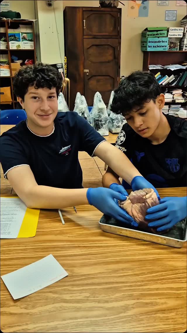 Science came to life in our Grade 9 classroom!
Through hands-on learning, students had the incredible opportunity to dissect a real-life heart and explore its structure up close. From curiosity to discovery, this experience encouraged excitement, critical thinking, and a deeper understanding of how the human body works.
Learning is always more powerful when students can see it, touch it, and experience it firsthand!