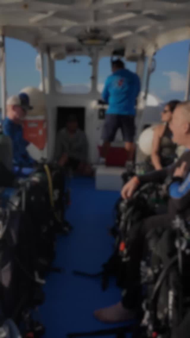 The best part of what we do? Hearing stories like this. 🌊
From the moment you step aboard to the final dive of the day, our goal is to create experiences that stay with you long after you surface.
Thank you for trusting Aldora Divers with your underwater adventures. Your memories, smiles, and stories are what inspire us every day. 💙
Ready to discover why so many divers keep coming back to Cozumel?
#AldoraDivers #CozumelDiving #DiveCozumel #ScubaLife #Cozumel
