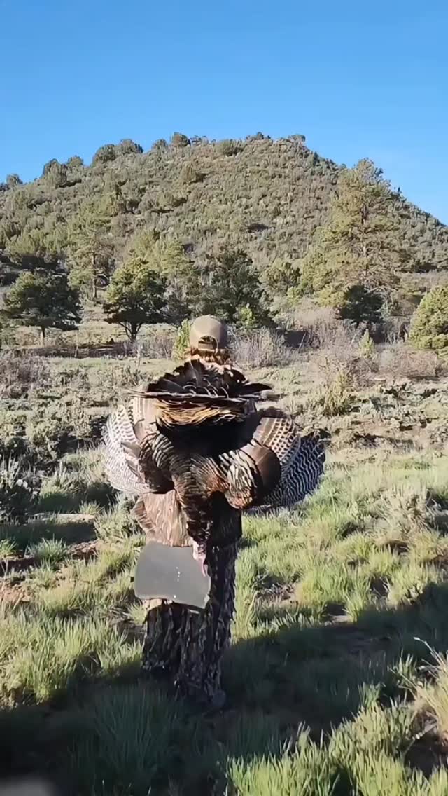Exceptional spring turkey guide season in the books. #westernskyoutfitters #Eberlestock #RockyMountainHuntingCalls
#FirstLite #Tricer