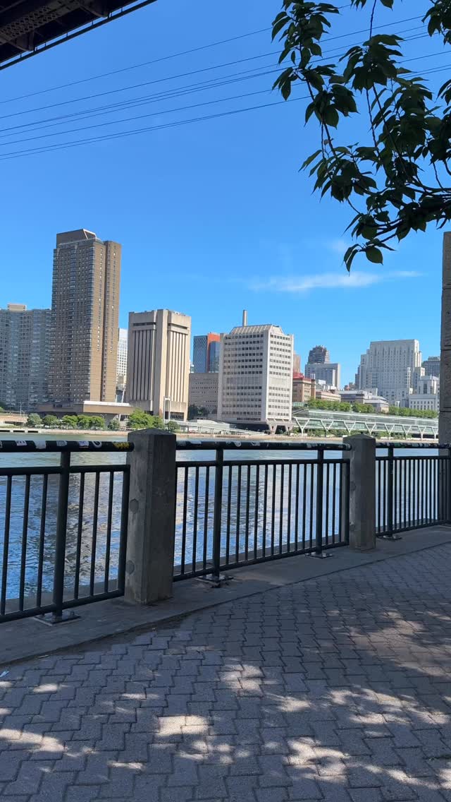 Morning in Manhattan. Tram ride to Roosevelt Island and walk round to this quiet spot to read and chill. #rooseveltislandtramway #manhattan #sundaywalks