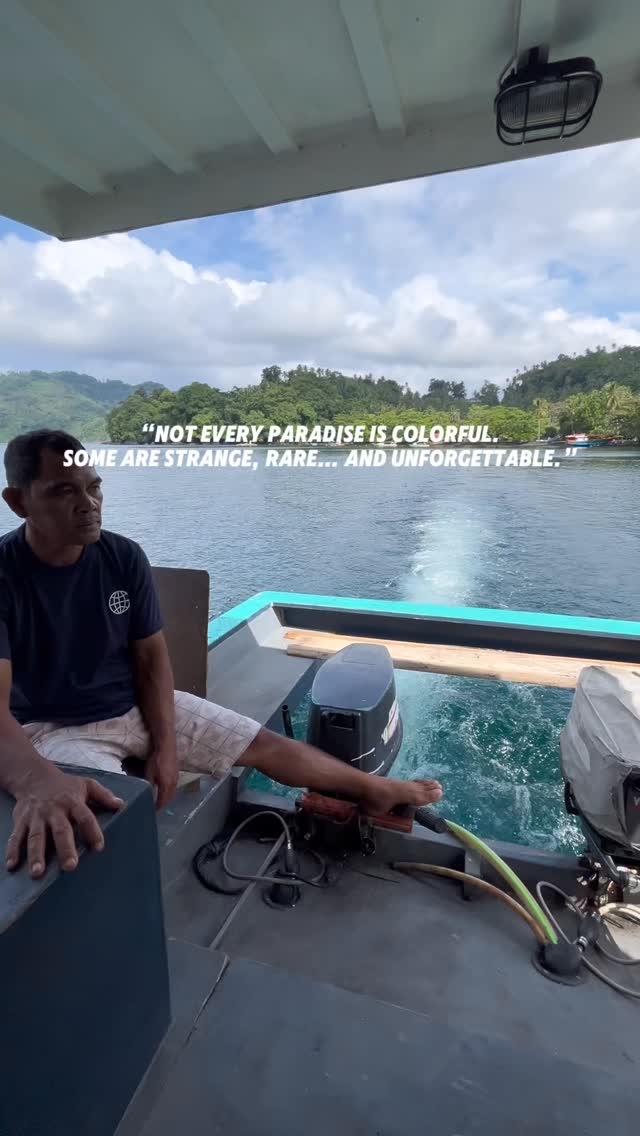 Not all diving is about big fish. Sometimes, the smallest creatures tell the most fascinating stories. 🤿✨
Welcome to Lembeh Strait, known as the Critter Capital of the World, a destination unlike any other. Beneath its dark volcanic sands lies a hidden universe of rare and unusual marine life, making every dive feel like a discovery.
On this beautiful day, with calm seas and great company, we encountered some of Lembeh’s iconic residents, perfectly camouflaged frogfish, curious nudibranchs, and other incredible macro subjects that make this place so unique. It’s not just about what you see, but how you learn to see.
Lembeh challenges you to slow down, look closer, and appreciate the extraordinary in the unexpected.
Ready to experience it for yourself?
Join our upcoming trips and discover the magic of Lembeh.
DM us to book your spot. 🐙
Tagaroa Dive Center
Authorized PADI 5 Star Dive Centre S-29078 ⭐️⭐️⭐️⭐️⭐️
Official DAN World Business Member #3238023
Contact us for more information & booking:
🤿@tagaroadivecenter
🌐www.tagaroadive.com
✉️ tagaroadivecenter@gmail.com
📞+62822-800-600-88
*We accept payment by OVO, GOPay, Qris, Credit Card Mastercard/VISA (0% installment program).
#TagaroaDiveCenter #ScubaDivingLembeh #scubadivingindonesia
#lembehstrait
