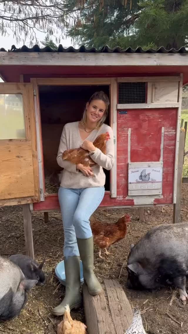 Hühnerrettung 🫶🏼💫
Am Sa. 11. Juli suchen noch über 400 Hühner ein sicheres Zuhause.
Infos auf unserer Homepage 🐓
#lebenshof #tiereretten #gerettetetiere #glücklichehühner #hühnerliebe