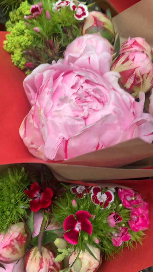Peony bunches waiting for collection today.
I sometimes add in an open peony as an extra if I have them. It shows my customers what’s to come and adds a little fullness to their bunch. There also a few other little extras in there such as Sweet Williams,Silene and Alchemilla- just because I can.
I don’t grow as many flowers to sell as I once did as my willow is taking up more space and time, but I will likely have some more blooms in late summer - weather, slugs and deer permitting 😊💐
#cutflowers #peonies #flowerfarmer