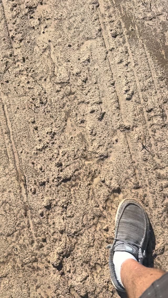 Kids track will be ready to go! Friday from 10am to 5pm