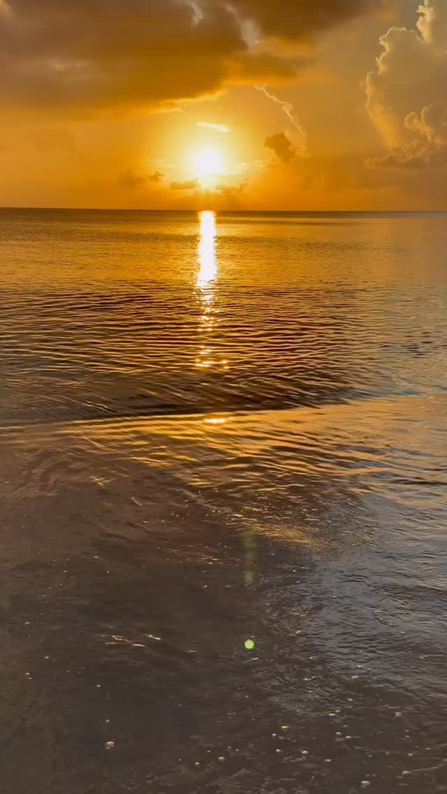 Time moves differently here.
📍Caribbean Club
#caribbeanclub #goldenhour #islandlife #oceanvibes #sunsetsky