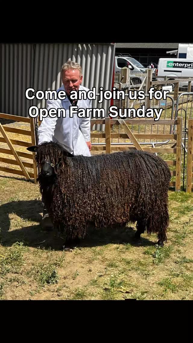 @laceysfamilyfarm #openfarmsunday #campaignforwool #meetthesheep #farmlife